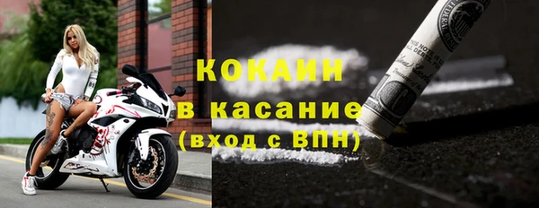 крисы Арсеньев