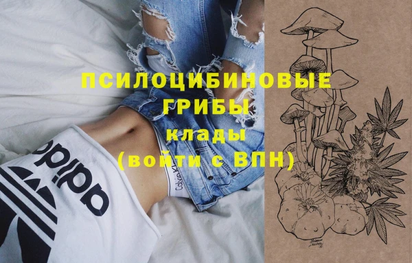 ALPHA PVP Армянск