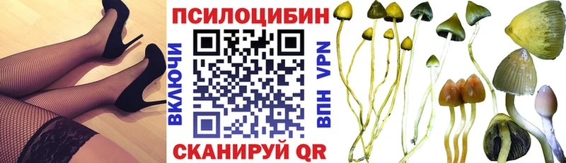 Псилоцибиновые грибы мухоморы  Яблоновский 